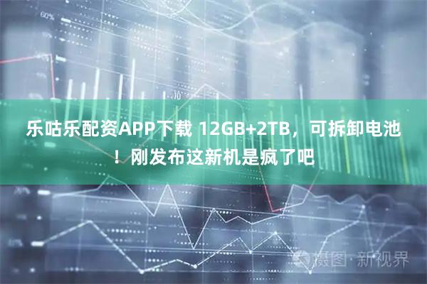 乐咕乐配资APP下载 12GB+2TB，可拆卸电池！刚发布这新机是疯了吧