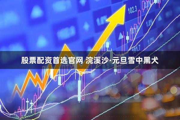 股票配资首选官网 浣溪沙·元旦雪中黑犬